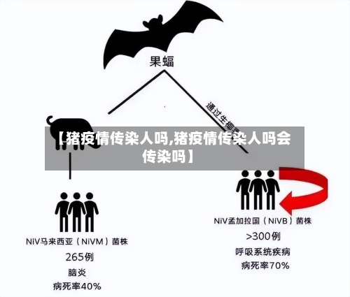 【猪疫情传染人吗,猪疫情传染人吗会传染吗】