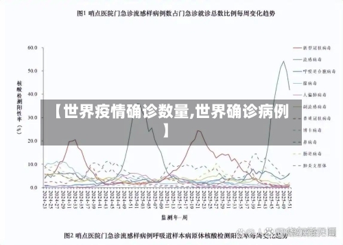 【世界疫情确诊数量,世界确诊病例】-第2张图片