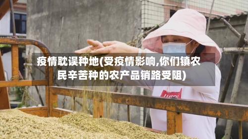 疫情耽误种地(受疫情影响,你们镇农民辛苦种的农产品销路受阻)