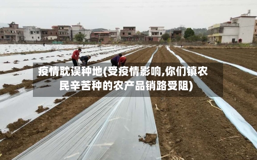 疫情耽误种地(受疫情影响,你们镇农民辛苦种的农产品销路受阻)-第3张图片