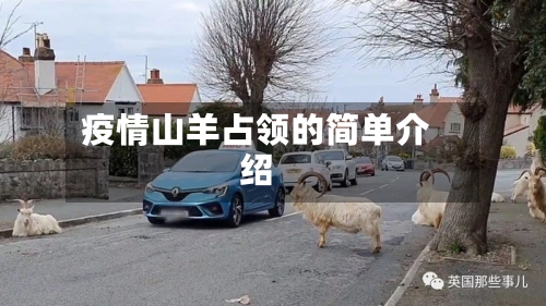 疫情山羊占领的简单介绍-第2张图片