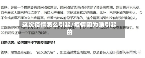 这次疫情怎么引起/疫情因为啥引起的-第2张图片