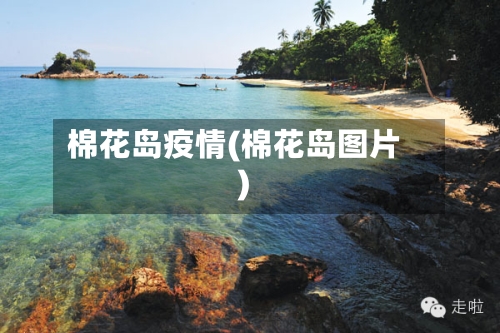 棉花岛疫情(棉花岛图片)