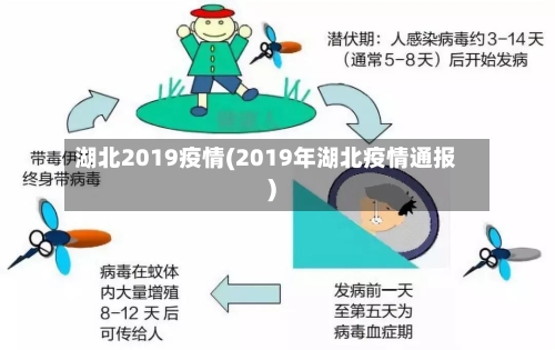 湖北2019疫情(2019年湖北疫情通报)