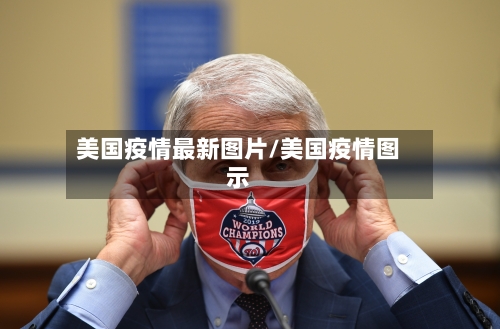 美国疫情最新图片/美国疫情图示