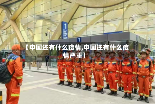 【中国还有什么疫情,中国还有什么疫情严重】