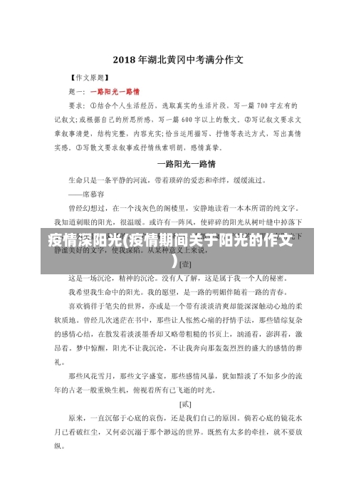 疫情深阳光(疫情期间关于阳光的作文)-第3张图片