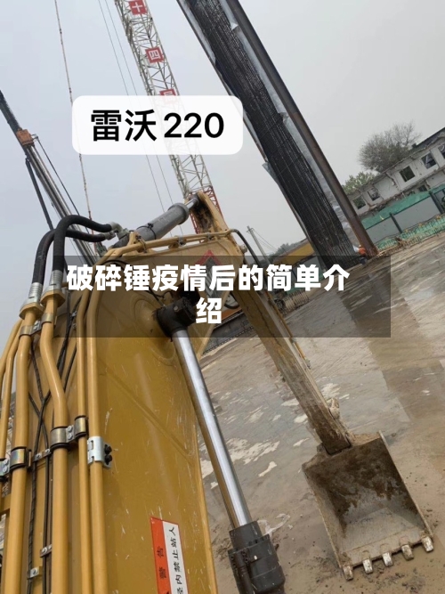破碎锤疫情后的简单介绍