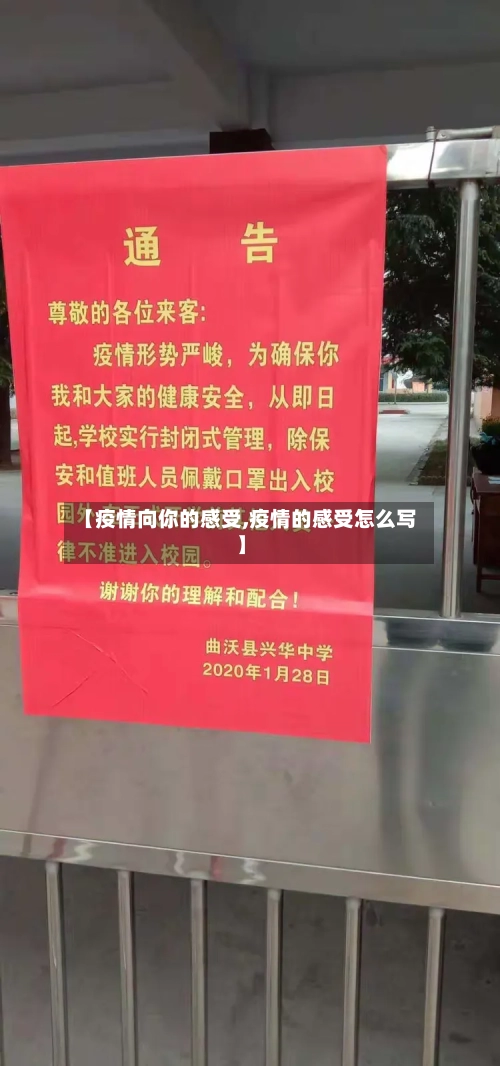 【疫情向你的感受,疫情的感受怎么写】-第2张图片