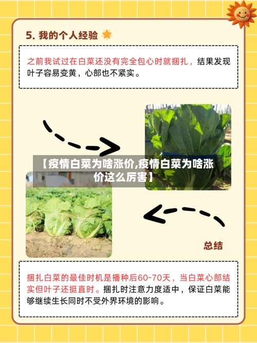 【疫情白菜为啥涨价,疫情白菜为啥涨价这么厉害】-第2张图片