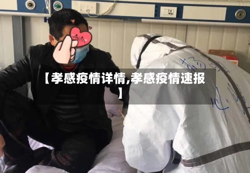 【孝感疫情详情,孝感疫情速报】-第2张图片