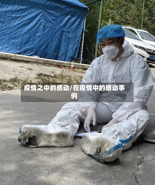 疫情之中的感动/在疫情中的感动事例