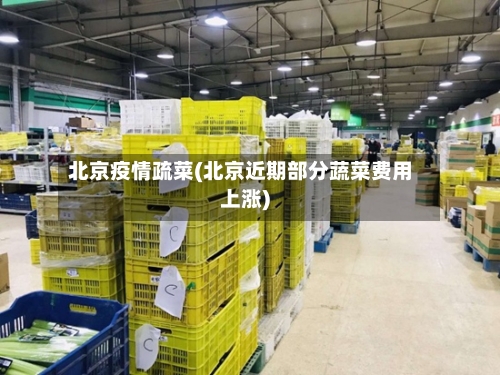 北京疫情疏菜(北京近期部分蔬菜费用上涨)