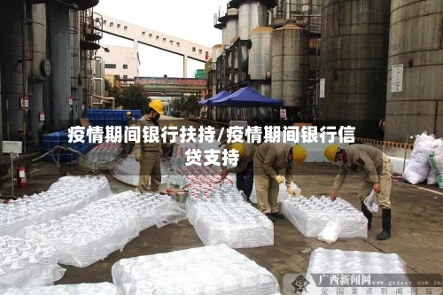 疫情期间银行扶持/疫情期间银行信贷支持