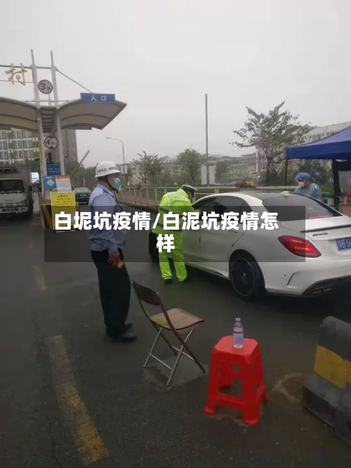 白坭坑疫情/白泥坑疫情怎样