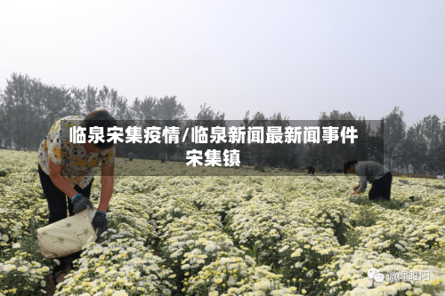 临泉宋集疫情/临泉新闻最新闻事件宋集镇-第2张图片