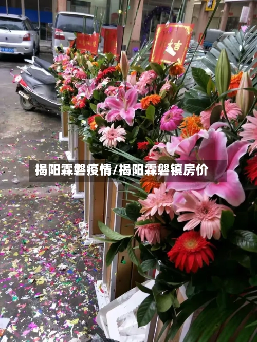 揭阳霖磐疫情/揭阳霖磐镇房价-第2张图片