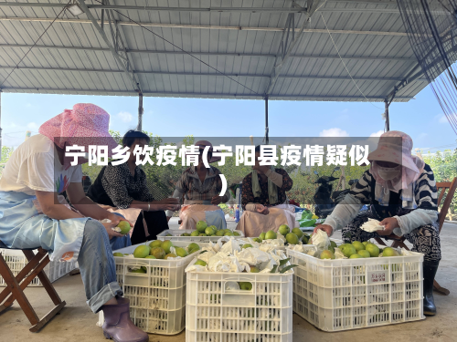 宁阳乡饮疫情(宁阳县疫情疑似)