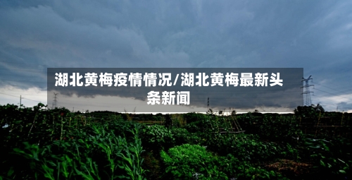 湖北黄梅疫情情况/湖北黄梅最新头条新闻