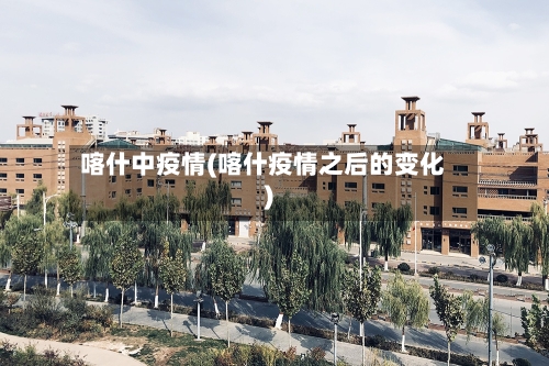 喀什中疫情(喀什疫情之后的变化)-第2张图片
