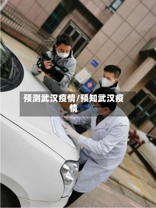 预测武汉疫情/预知武汉疫情-第3张图片