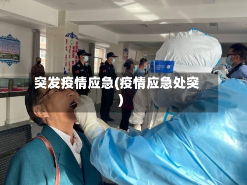 突发疫情应急(疫情应急处突)