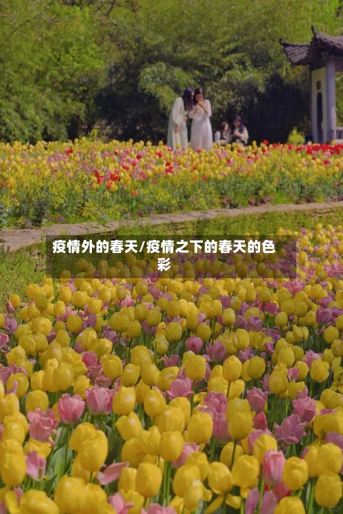 疫情外的春天/疫情之下的春天的色彩