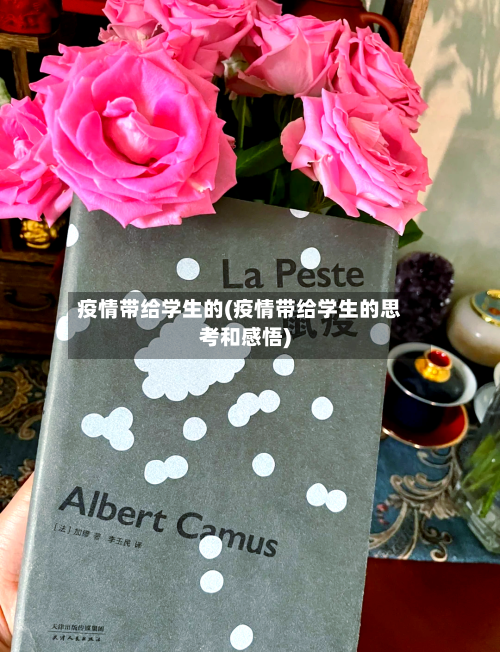 疫情带给学生的(疫情带给学生的思考和感悟)-第2张图片