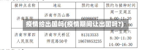 疫情给出国吗(疫情期间让出国吗?)-第2张图片