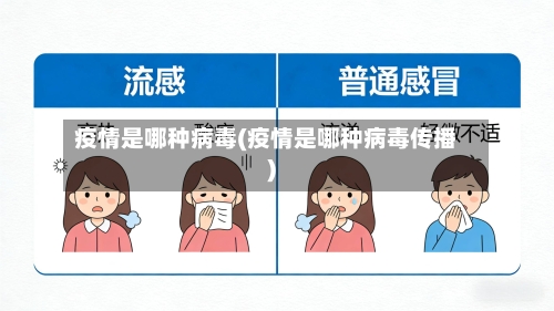 疫情是哪种病毒(疫情是哪种病毒传播)