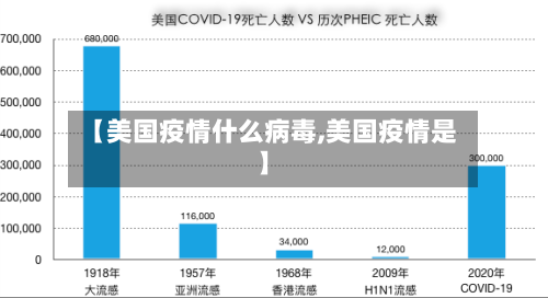【美国疫情什么病毒,美国疫情是】