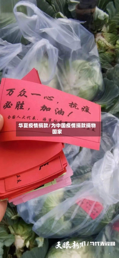 华夏疫情捐款/为中国疫情捐款捐物国家-第3张图片