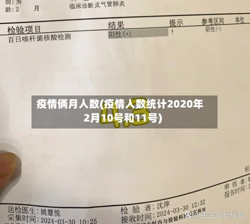 疫情俩月人数(疫情人数统计2020年2月10号和11号)-第2张图片