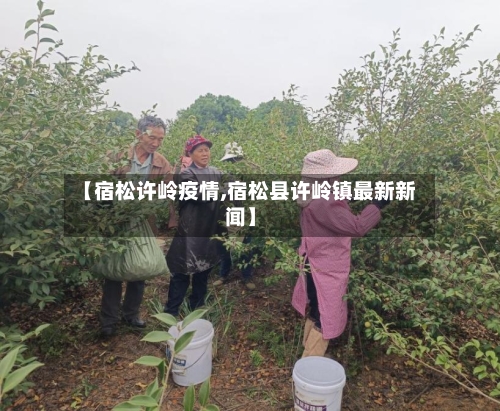 【宿松许岭疫情,宿松县许岭镇最新新闻】