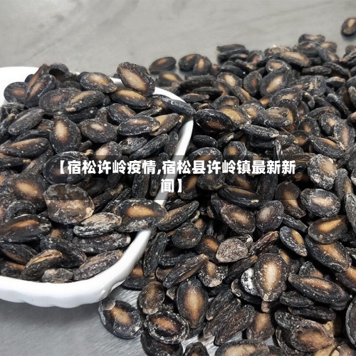 【宿松许岭疫情,宿松县许岭镇最新新闻】-第2张图片