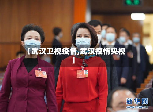 【武汉卫视疫情,武汉疫情央视】