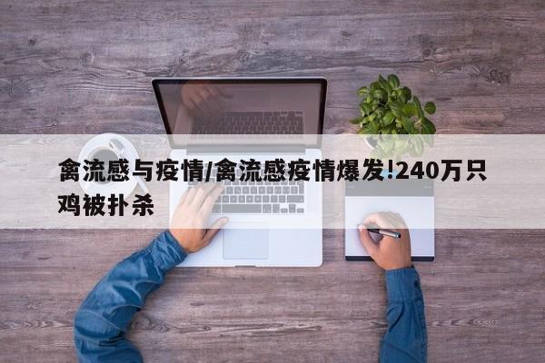 禽流感与疫情/禽流感疫情爆发!240万只鸡被扑杀