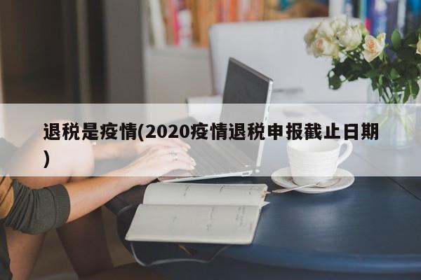 退税是疫情(2020疫情退税申报截止日期)